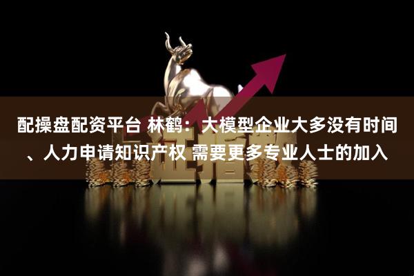 配操盘配资平台 林鹤：大模型企业大多没有时间、人力申请知识产权 需要更多专业人士的加入