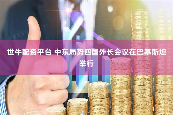 世牛配资平台 中东局势四国外长会议在巴基斯坦举行