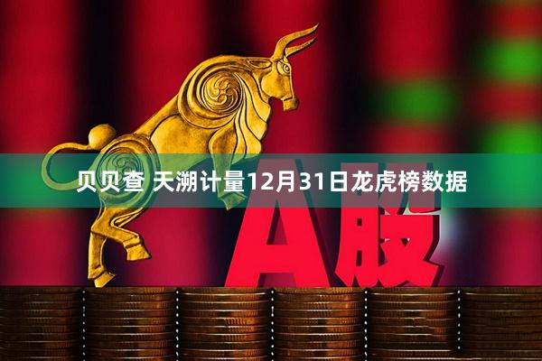 贝贝查 天溯计量12月31日龙虎榜数据
