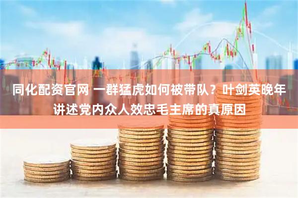 同化配资官网 一群猛虎如何被带队？叶剑英晚年讲述党内众人效忠毛主席的真原因
