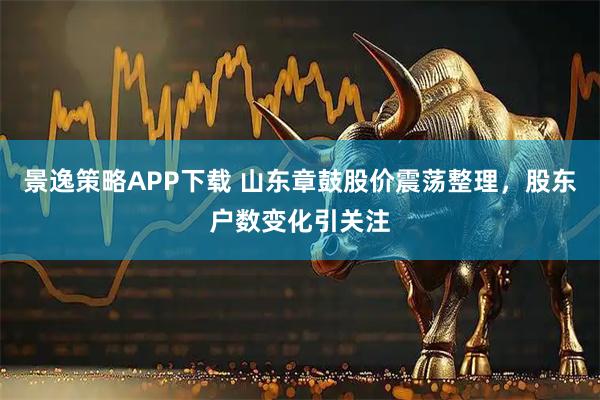 景逸策略APP下载 山东章鼓股价震荡整理，股东户数变化引关注